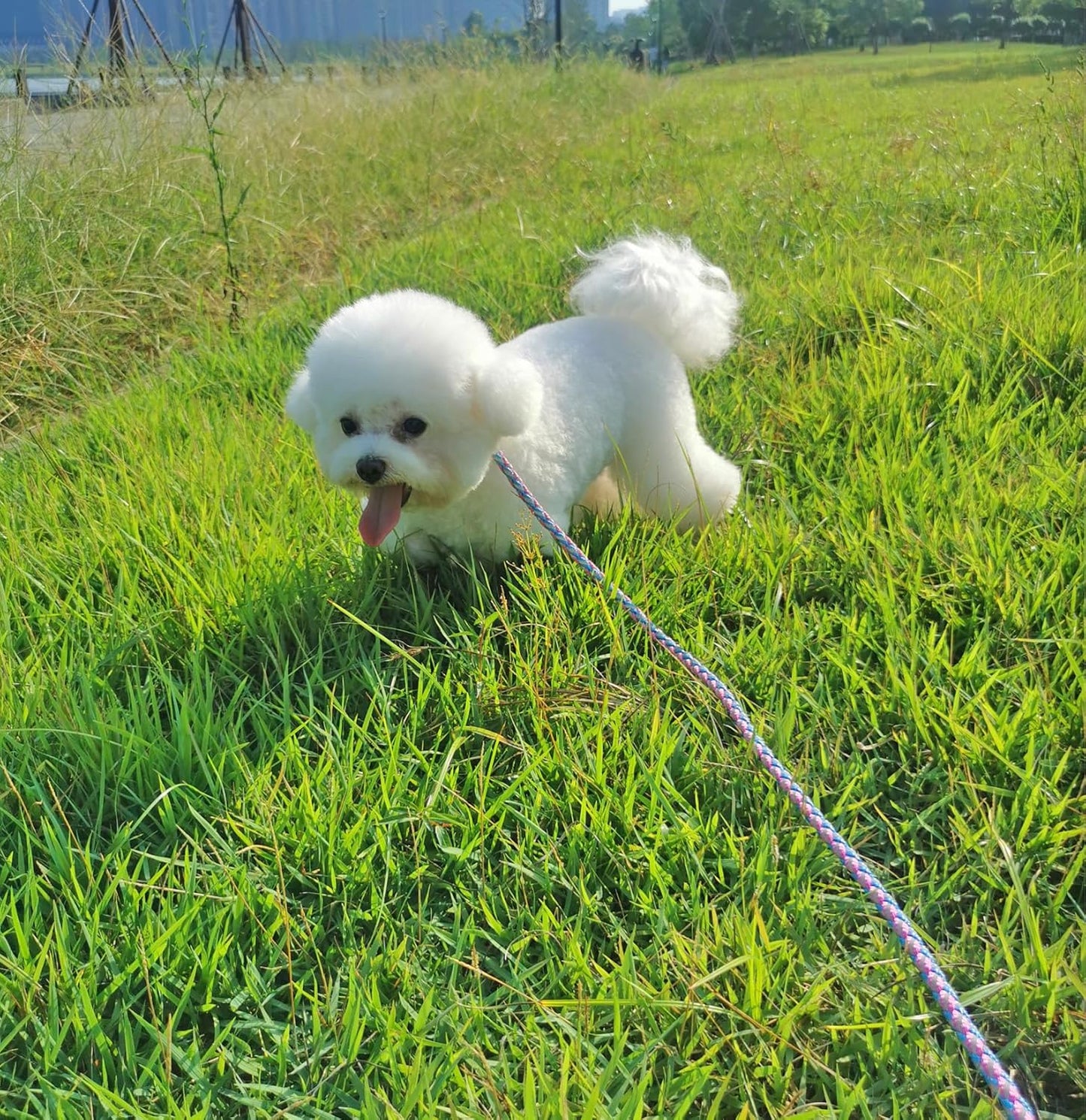 2/3/4/6/10 Ft Reflective Dog Leash Strong Nylon Rope Braided Heavy Duty for Large Medium Small Dogs Walking Training Leads (Pink, 6Ft * 1/2")