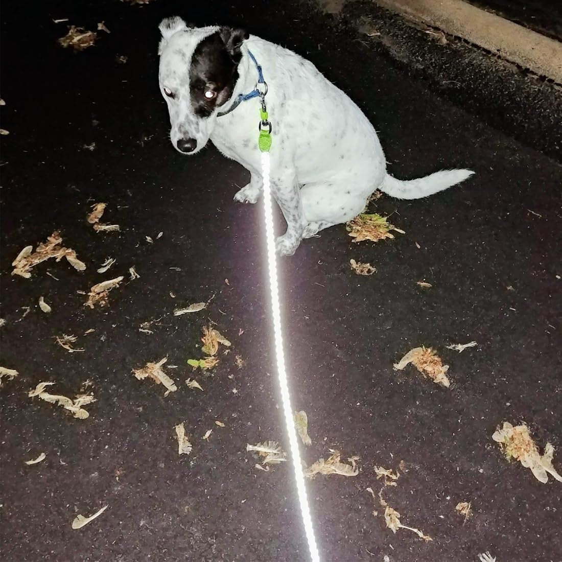 2/3/4/6/10 Ft Reflective Dog Leash Strong Nylon Rope Braided Heavy Duty for Large Medium Small Dogs Walking Training Leads (Pink, 6Ft * 1/2")